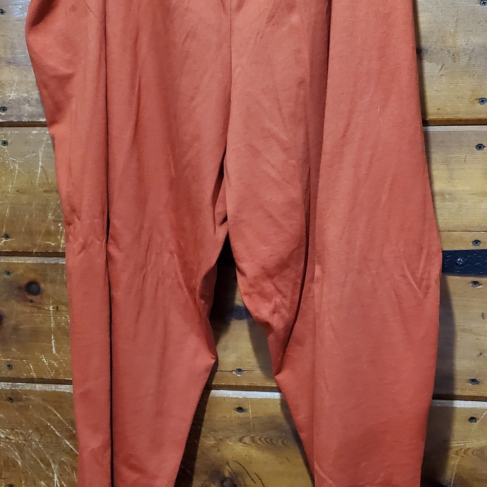 Rust Orange Pants- Petite - Picture 8 of 8